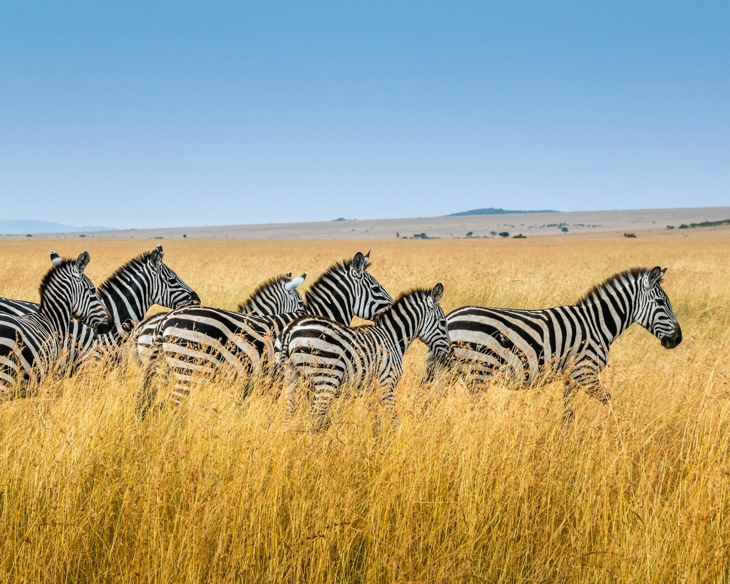 Why African Documentaries Are Gaining Global Attention