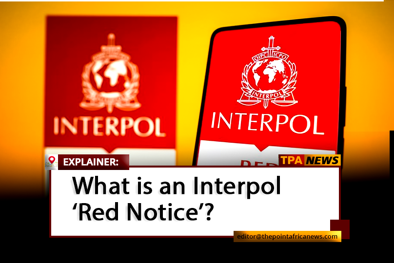 interpol1 Explainer: What Is an Interpol Red Notice?