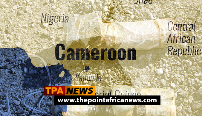 IED Kills Two Children in Cameroon’s Far North, Local Sources Report