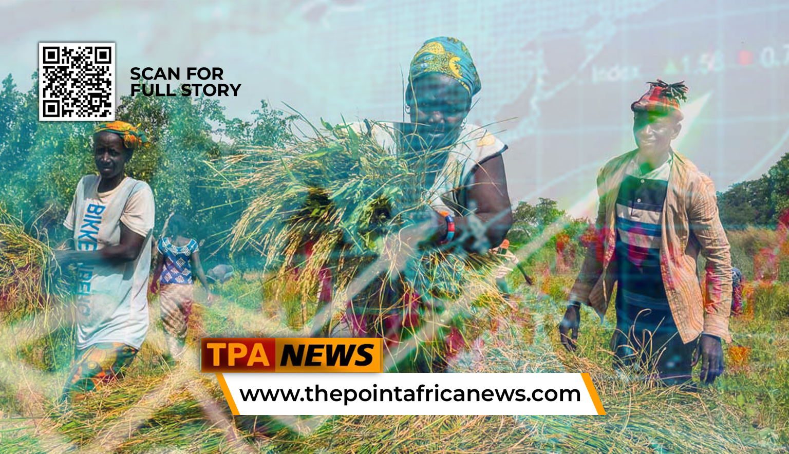 Africa’s 4.3% Growth Outlook Masks Uneven Economic Reality